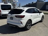 Used 2024 Ford Escape ST-Line w/ Tech Pack #1 image 4