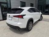 Used 2020 Lexus NX 300 AWD w/ Comfort Package image 3