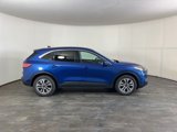 Used 2022 Ford Escape SEL image 5