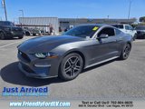 Used 2018 Ford Mustang Premium w/ Enhanced Security Package image 2