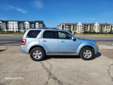 Used 2008 Ford Escape 2WD Hybrid image 5