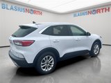 Used 2021 Ford Escape SE image 4