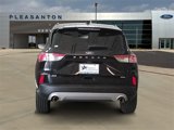 Used 2020 Ford Escape SE Sport image 4