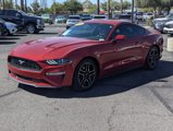 Used 2020 Ford Mustang Premium image 5