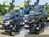 View Video