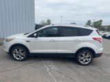 Used 2014 Ford Escape Titanium w/ Equipment Group 401A image 3