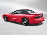 Used 2000 Pontiac Firebird Trans Am image 5
