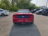 Used 2019 Ford Mustang Premium w/ Equipment Group 201A image 4
