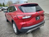 Used 2021 Ford Escape Titanium w/ Titanium Elite Package image 3