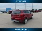 Used 2019 Ford Escape Titanium w/ U9j03 - Titanium Tow Package image 6