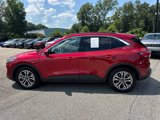 Used 2020 Ford Escape SEL image 4