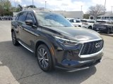 Certified 2023 INFINITI QX60 Sensory w/ Cargo Package image 3