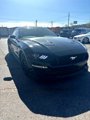 Used 2019 Ford Mustang GT Premium w/ GT Performance Package image 3