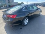 Used 2024 Chevrolet Malibu LT image 3