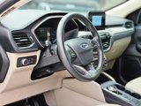 Used 2020 Ford Escape SE image 2
