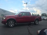 Used 2013 Ford F150 FX4 image 4