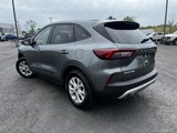 Used 2025 Ford Escape Active w/ Cold Weather Package image 4