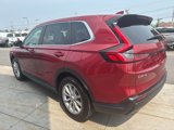 Used 2025 Honda CR-V EX-L image 5