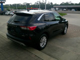 Used 2021 Ford Escape SE w/ Cold Weather Package image 4