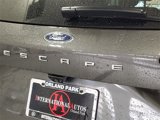 Used 2020 Ford Escape SEL image 5