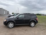 Used 2010 Ford Escape XLT image 4