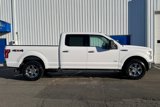 Used 2016 Ford F150 XLT w/ Equipment Group 302A Luxury image 3