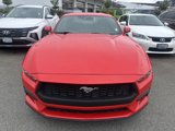 Used 2024 Ford Mustang Premium image 2