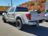 New 2024 Ford F150 STX w/ STX Black Appearance Package image 4