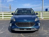 Used 2020 Ford Escape SEL image 2