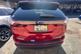 Used 2015 Ford Edge Titanium w/ Equipment Group 302A image 5