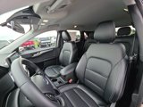 Certified 2024 Ford Escape Platinum image 2