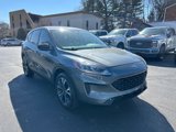 Used 2022 Ford Escape SE w/ SE Sport Appearance Package image 3