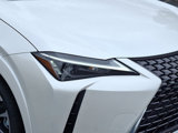 New 2025 Lexus UX 300h AWD image 6