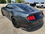 Used 2015 Ford Mustang Premium w/ Ecoboost Performance Package image 3