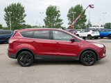 Used 2014 Ford Escape SE image 2