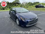 View Video