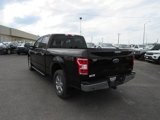 Used 2019 Ford F150 XLT w/ Equipment Group 302A Luxury image 3