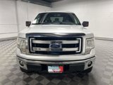 Used 2013 Ford F150 XLT w/ Mid Equipment Group image 3