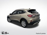 Used 2020 Ford Escape Titanium image 3