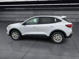 Used 2025 Ford Escape Active w/ Cold Weather Package image 5