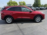 Used 2022 Ford Escape SE w/ Convenience Package image 4
