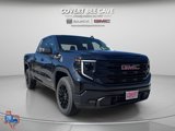 New 2025 GMC Sierra 1500 Elevation image 2