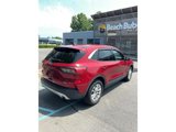 Certified 2020 Ford Escape SE image 4