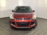 Used 2014 Ford Escape Titanium image 3