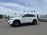 Used 2018 Jeep Grand Cherokee Trailhawk w/ Trailhawk Luxury Group image 3