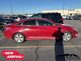 Used 2013 Hyundai Sonata Limited image 2