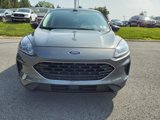 Used 2022 Ford Escape SE w/ SE Sport Appearance Package image 2