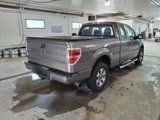 Used 2013 Ford F150 STX w/ Mid Equipment Group image 4