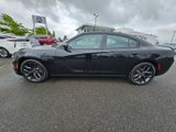 Used 2020 Dodge Charger SXT w/ Blacktop Package image 4
