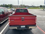 Used 2010 Ford F150 XLT image 3
